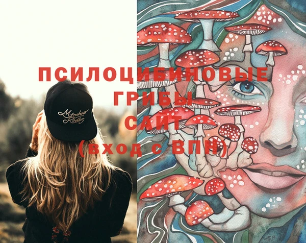 экстази Гусь-Хрустальный