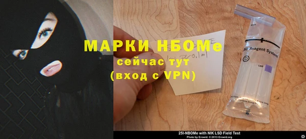 альфа пвп Гусев