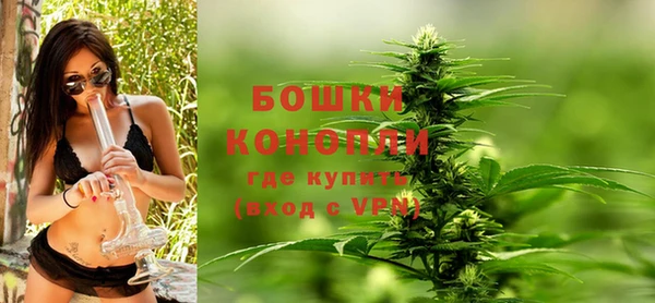 альфа пвп Гусев