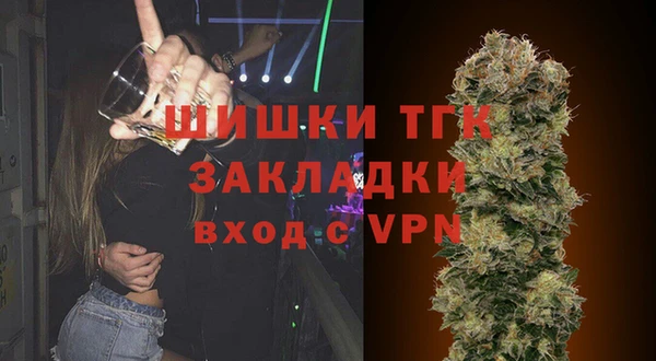 альфа пвп Гусев