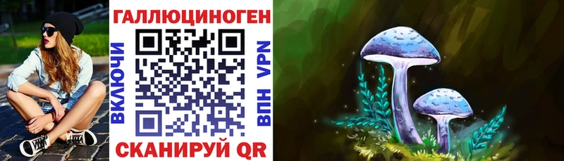 ссылка на мегу   Добрянка  Псилоцибиновые грибы GOLDEN TEACHER 